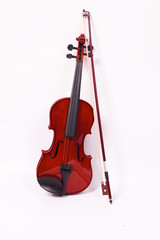 violin