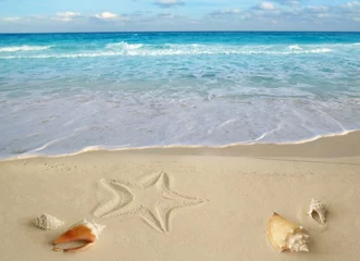Foto op Canvas sea shells starfish tropical sand turquoise caribbean © lunamarina