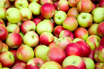 Äpfel