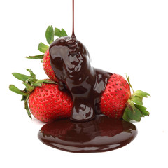 strawberry in chocolate