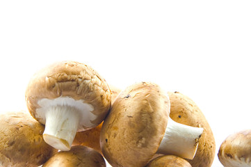 Champignons