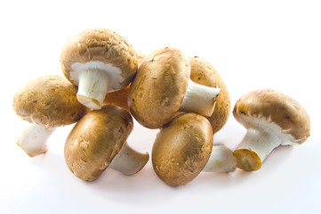 Champignons