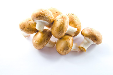 Champignons