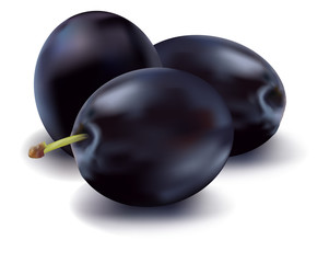 Photo-realistic vector illustration of the three plums.