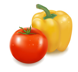 Vector illustration of the tomato and the pepper.