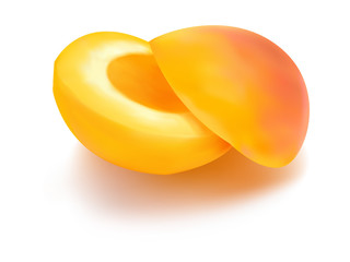 Photo-realistic vector illustration of the apricot.