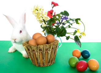 Easter Card With White Bunny