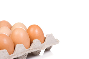 eggs in protective container