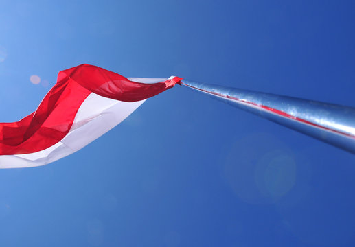 polska flaga
