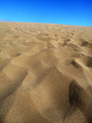 Close Up Of Sand Dunes