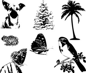 Design elements traces  vector