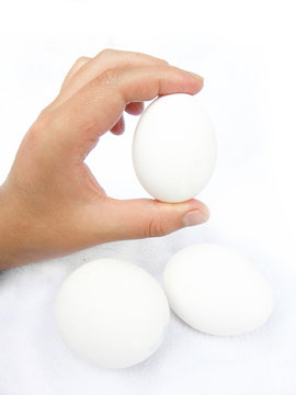 Huevos