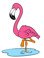 flamingo