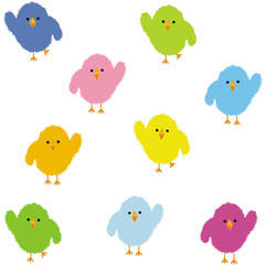 Fototapeta premium colorful chick