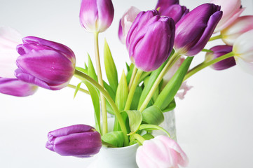 Obraz premium tulips