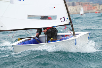 Naklejka premium vela3