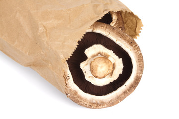 Mushroom in Paper Bag