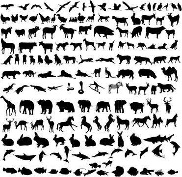 hundreds different animals - vector