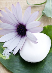 fiore lilla e sapone