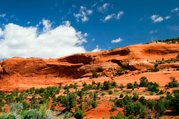 Sunny day in Arches Canyon. Utah. USA