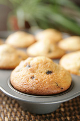Muffins in a pan