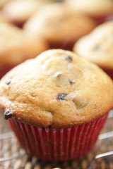 Blueberry muffin