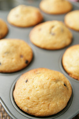 Muffins in a pan