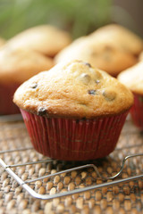 Muffins