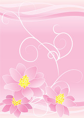 pink flowers backdrop