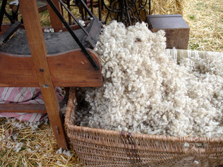 Cardeuse à laine