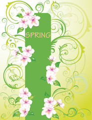 Spring banner. vector
