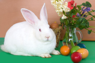 Easter Bunny, Flowers And Colored Eggs