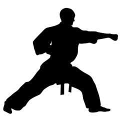 MARTIAL ARTS punch.Vector. © master_77