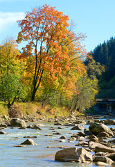 Autumn mountain stony river