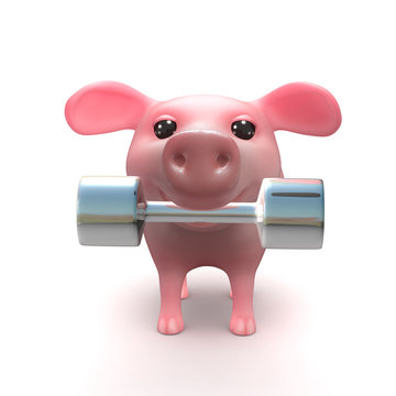 Gym Pig