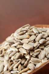 Husked sunflower seeds. Copy space