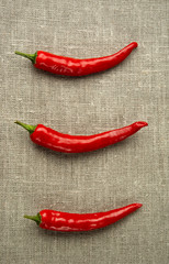 three chili on canvas