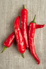 Four of pepper on the canvas