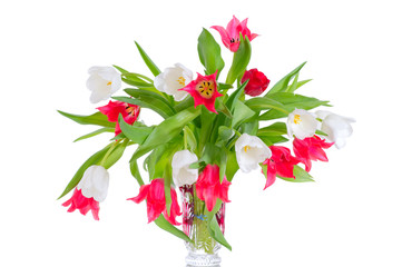 bouquet tulips