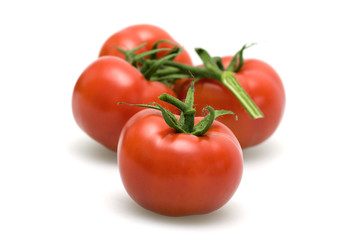 Isolated tomatoes