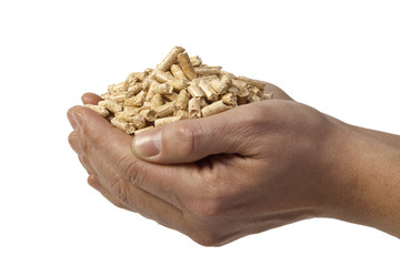 Pellets - Brennstoff der Zukunft