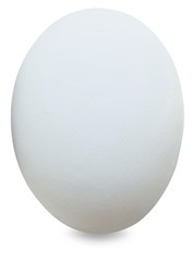 whole egg