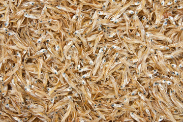 Small dry fishes