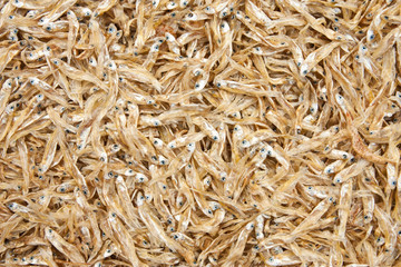 Small dry fishes