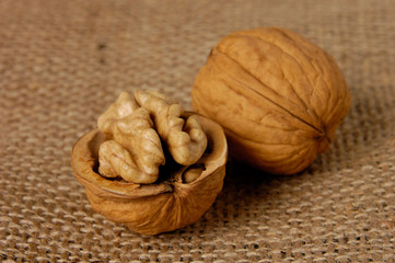 Walnut