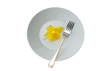 Fork With Plate And Narcissus Flower