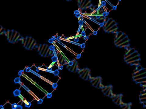 High quality 3D render of DNA Molecule