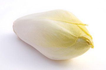 Endive