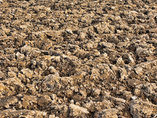 Soil background