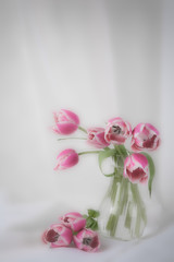 Obraz na płótnie Canvas Tulips in a vase
